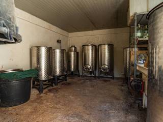 Cantina