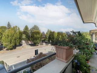 Vista