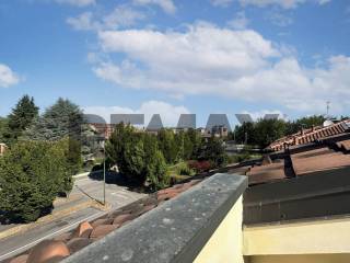 Vista