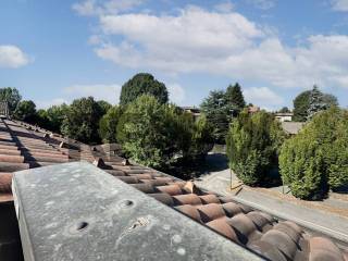 Vista