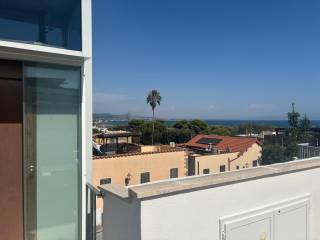 Vista