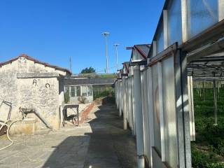 Zona