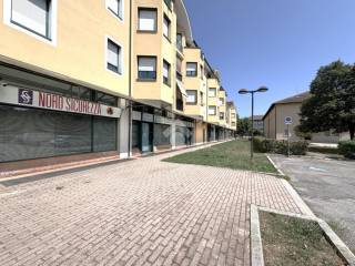 Zona