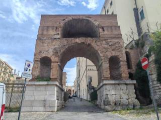 Zona