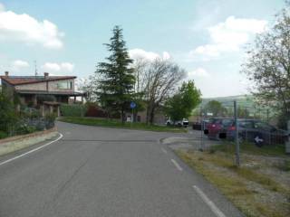 Zona