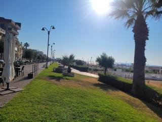 Zona