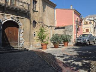 Zona
