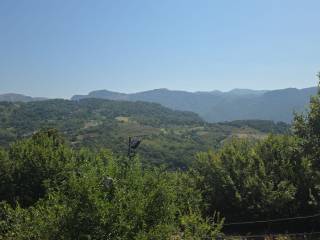 Vista