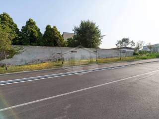 Zona