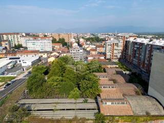 Vista