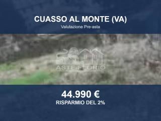 Altro