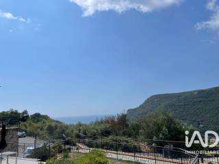 Vista
