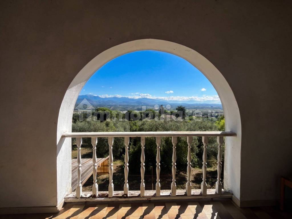 Vista