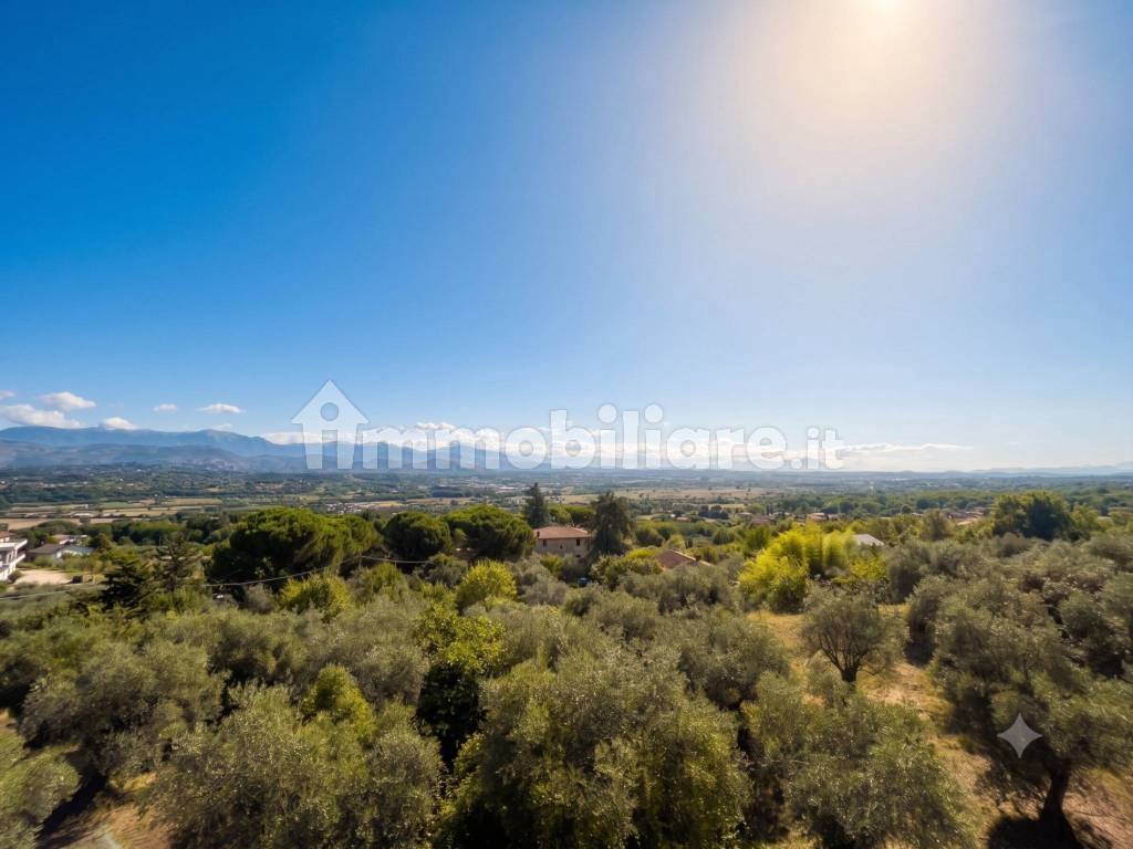 Vista