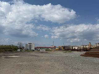 Zona