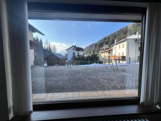 Vista
