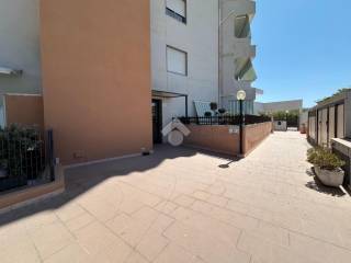 Ingresso