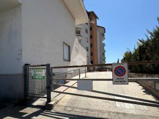 Zona