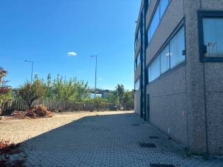 Zona