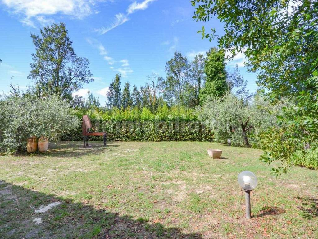 Giardino