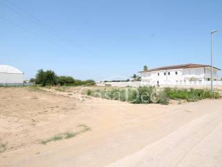 Zona