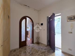 Ingresso