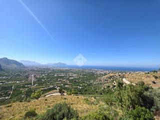 Vista