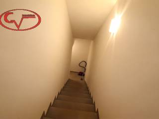 Scala