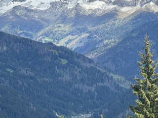 Vista