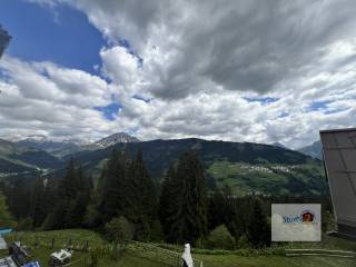 Vista