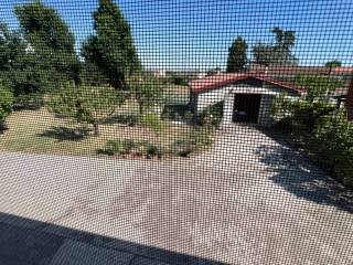 Vista