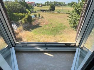 Vista