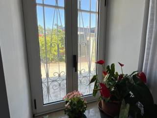 Vista