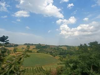 Vista