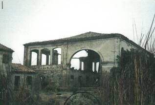 Zona