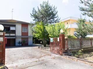 Zona