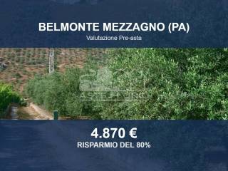 Zona