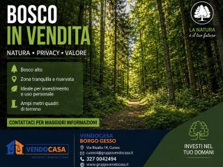 Altro