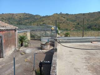 Zona