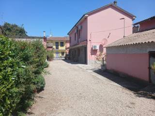 Zona