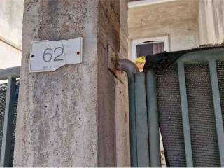 Zona