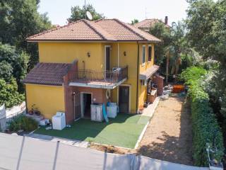 Vista