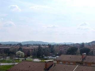 Vista