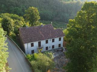 Vista