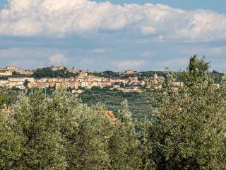 Vista