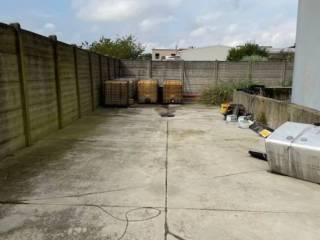 Zona
