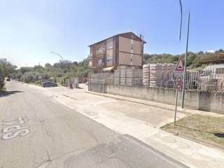 Zona