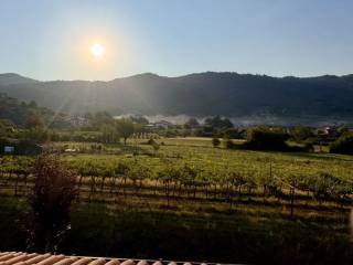 Vista