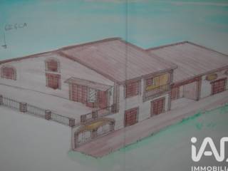 Zona