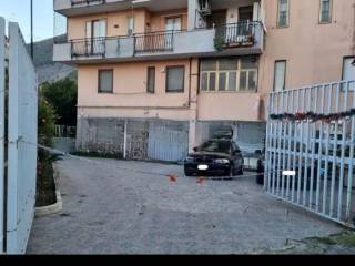 Zona